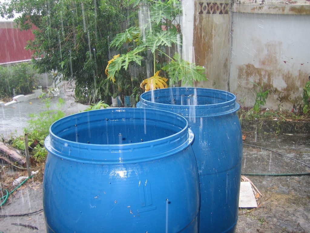 rainbarrel