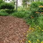 mulch