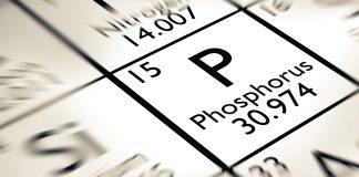 Phosphorus Element