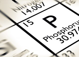 Phosphorus Element