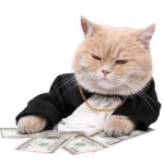 Wealthy fat cat