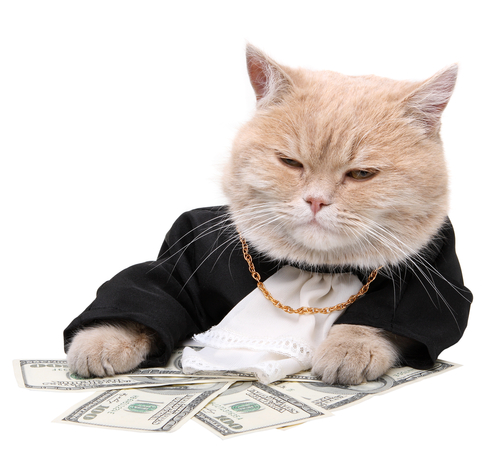 Wealthy fat cat