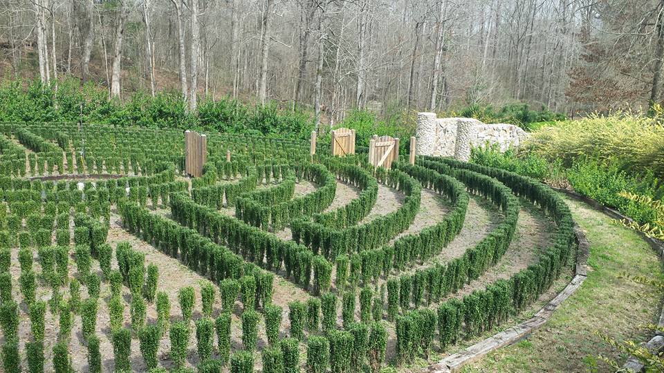 s-town-podcast-hedge-maze